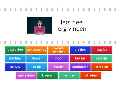 Spelling 6-10 (Groep 6)