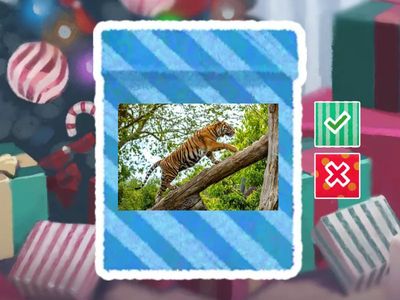 What can animals do?