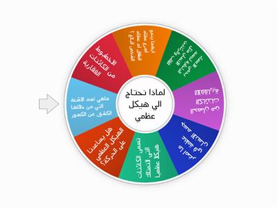 لماذا نحتاج الي هيكل عظمي