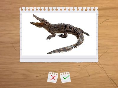 01 UNIT 2 - VOCABULARY I