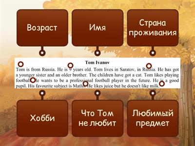 ВПР по английскому языку, 4 класс