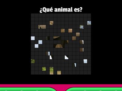 ANIMALES SALVAJES