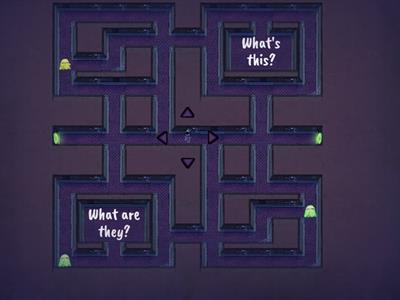 what are they? what's this?