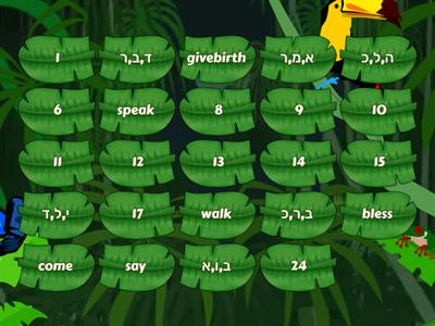 Shorashim Grade 2 (Bev)