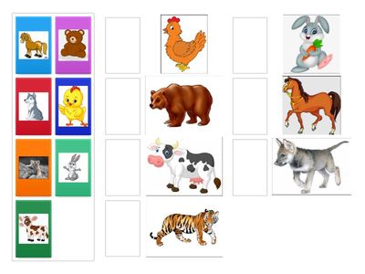 Динара Түктыбай