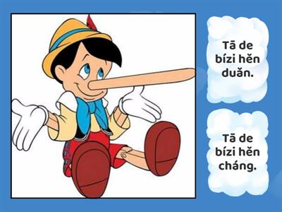 Y3 L6 frases