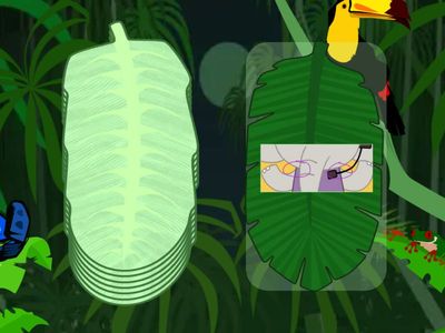 super simple songs( body parts)