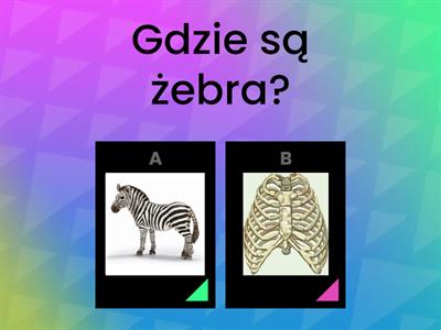 Ćwiczenie słuchu fonematycznego cz.2. Wskaż prawidłowy obrazek. Poproś kogoś o czytanie poleceń.