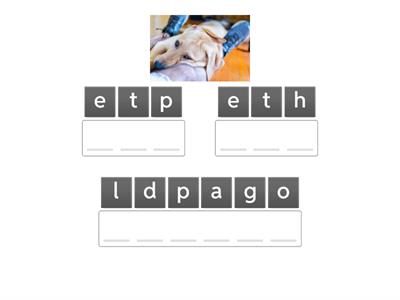 Camille angram phrases 3.1