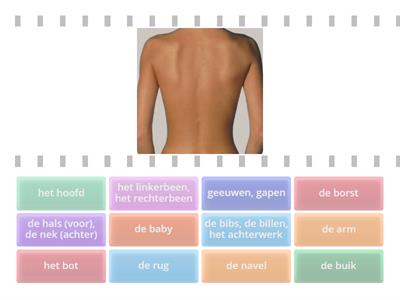 Woordenschat 10 (Groep 3)