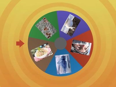 Порахуй та назви кількість звуків