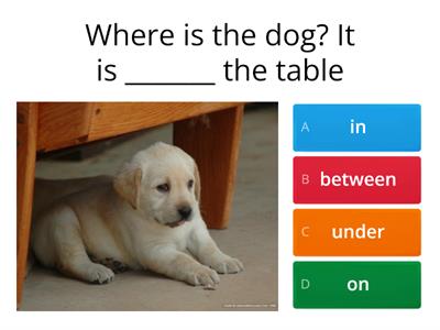 Prepositions click the correct answer