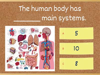 The Human Body