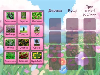  Дерева, кущі, трави