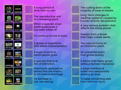 ENGLISH- UNIT 6- 5º