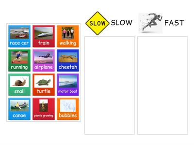 Science:  Unit 2 -- Fast or Slow