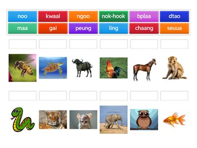 animal consonant