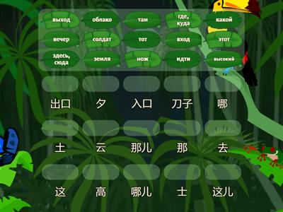 Кит. для начинающих