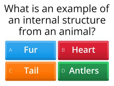 Animals & Plants internal and external structures 