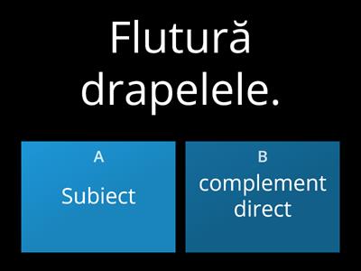 Subiect sau complement direct