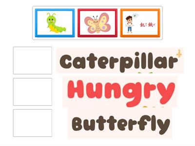 【匹配遊戲】--蝴蝶、毛毛蟲…