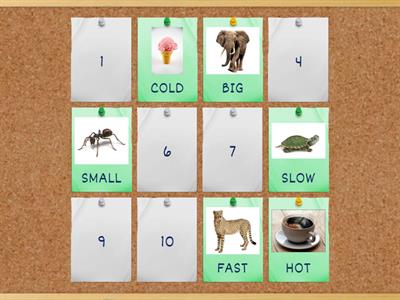 Opposites 2nd/ 3rd grade