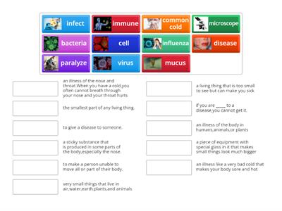 VOCABULARY UNIT 11