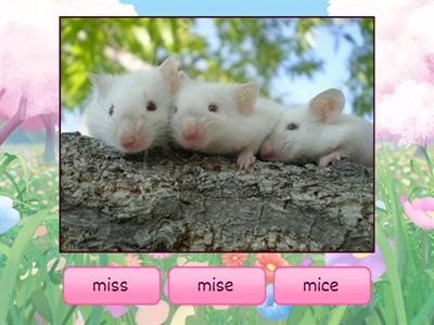 MTA Kit 5 ss, ce, se Endings