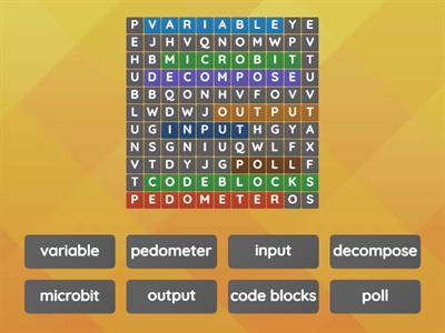 Microbit Vocab