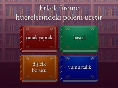 6. Sınıf tozlaşma