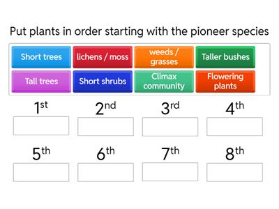 Primary succession