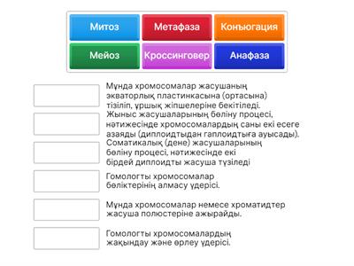 Митоз бен мейоз