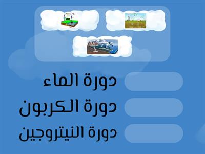 الدورات في الأنظمة البيئية