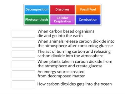 Carbon Cycle Matchup