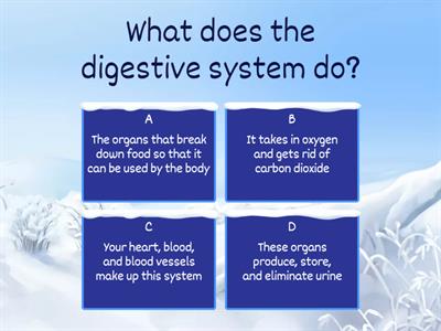 Game show Digestive System