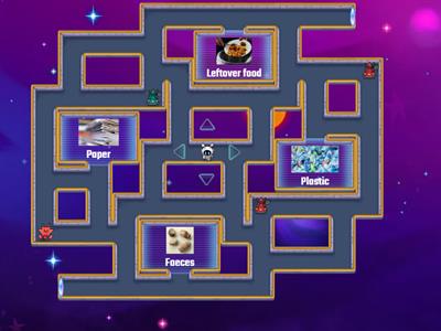 Year 6 Science Revision