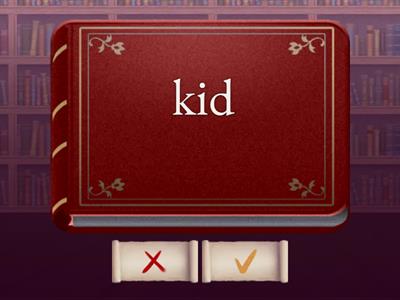 Phonics 2 Unit 4 -ib -id