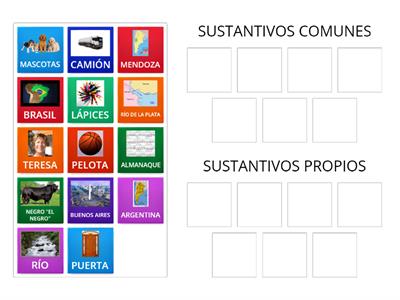 SUSTANTIVOS PROPIOS Y COMUNES