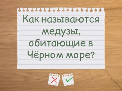 Краеведение. Первые 100 