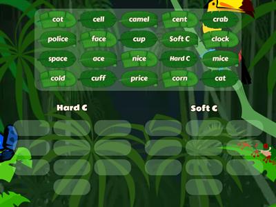 Hard C and Soft C Sort