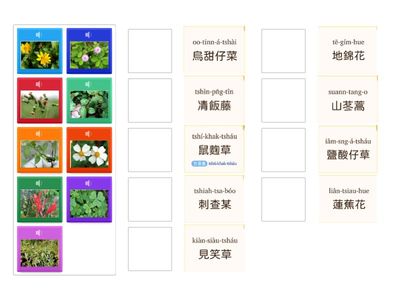 第八冊第一課春天愛畫圖  語詞配對