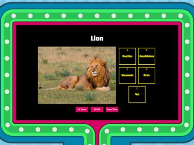 10 animal classification