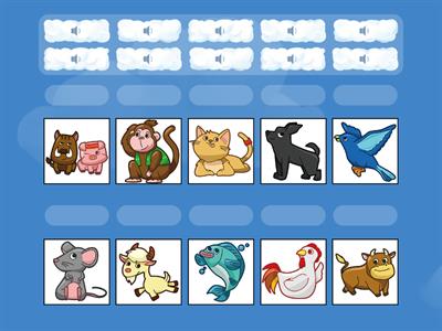 卓群初級認證-聽力測驗-2.動物