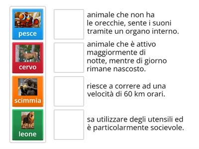 Collega l'animale alla sua corrispondente caratteristica