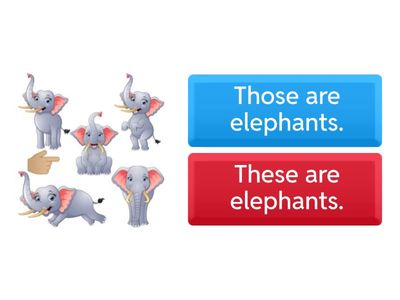 T. Raneem ( THESE -THOSE)