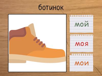 Обувь. Мой, моя, мои