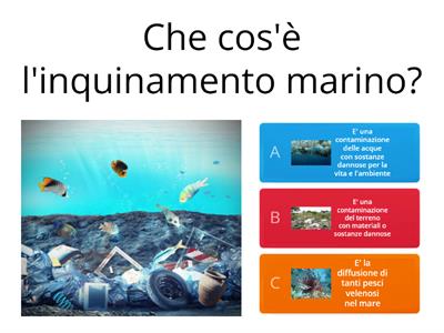 L' inquinamento marino