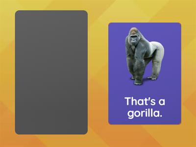 ❓ Lesson 22 - Ask Questions