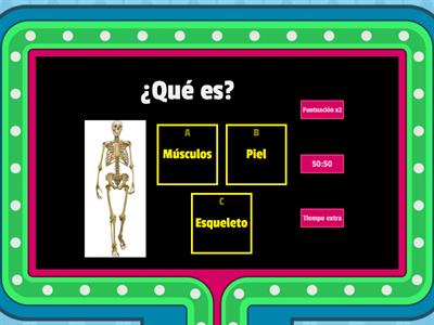 cuerpo humano