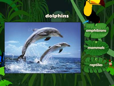  mammals, amphibians , reptiles